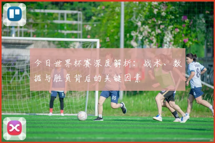 今日世界杯赛深度解析:战术、数据与胜负背后的关键因素