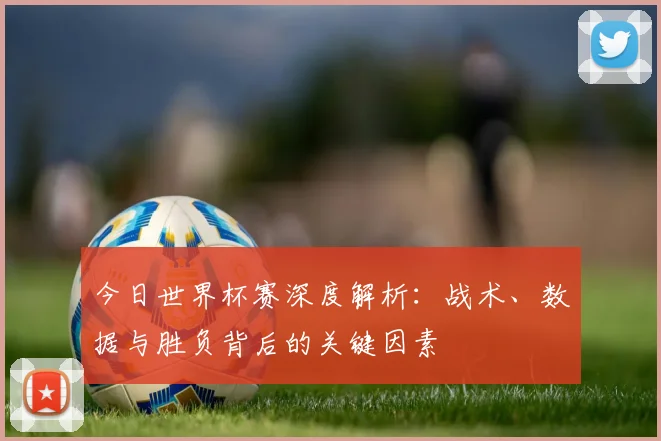 今日世界杯赛深度解析：战术、数据与胜负背后的关键因素